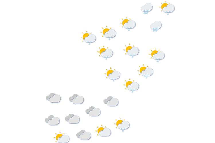 Forecast