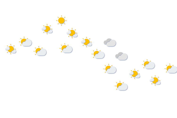 Forecast