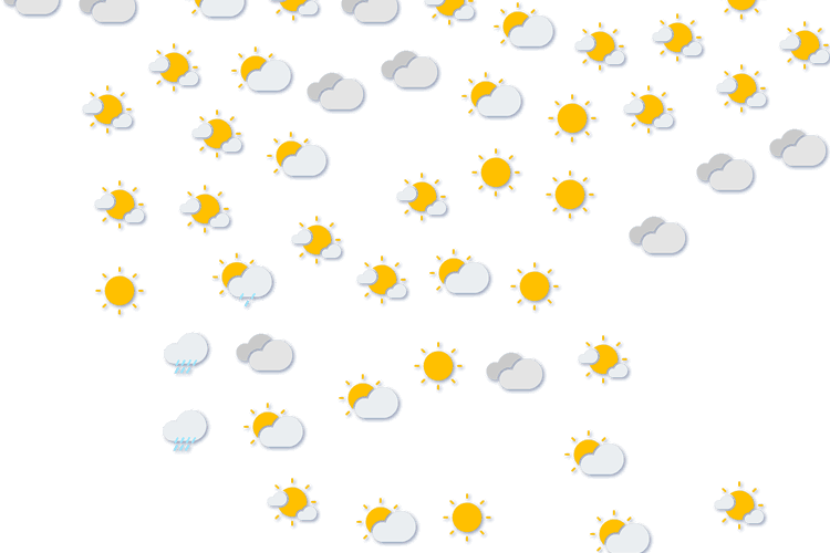 Forecast
