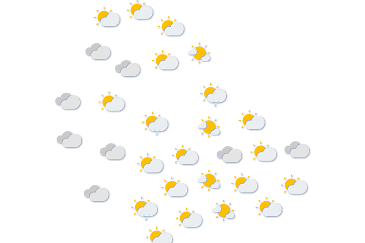 Forecast