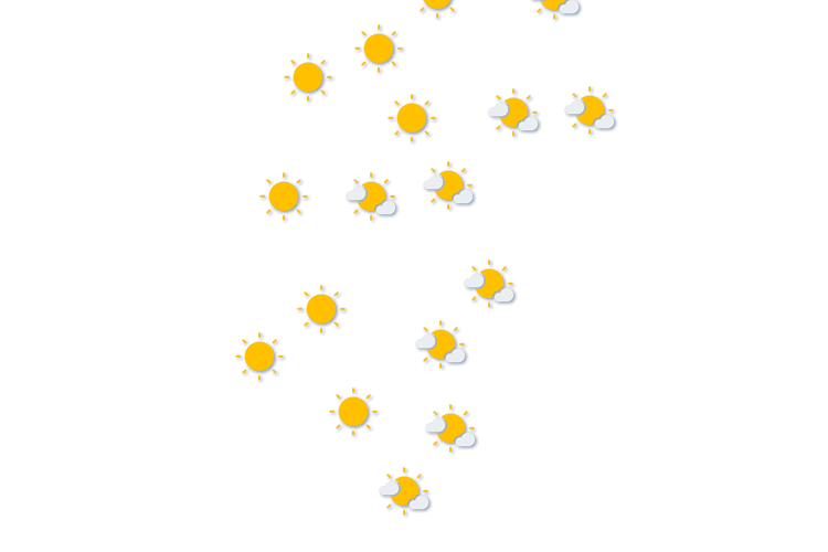 Forecast