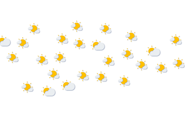 Forecast