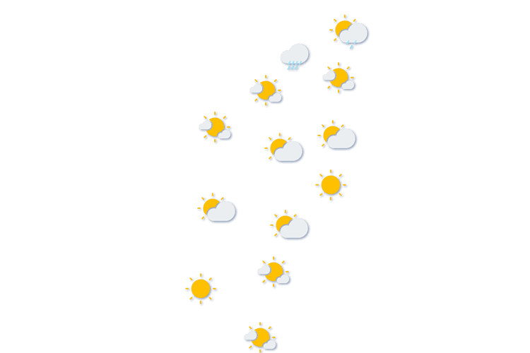Forecast
