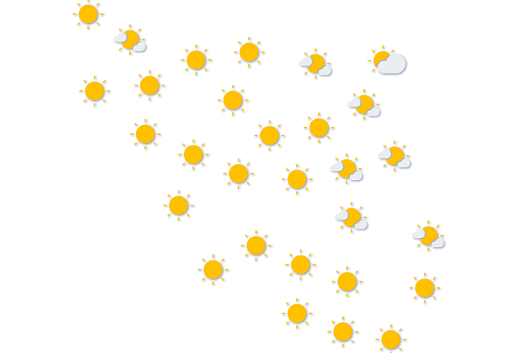 Forecast