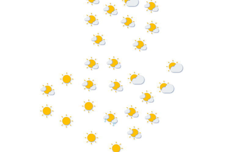 Forecast