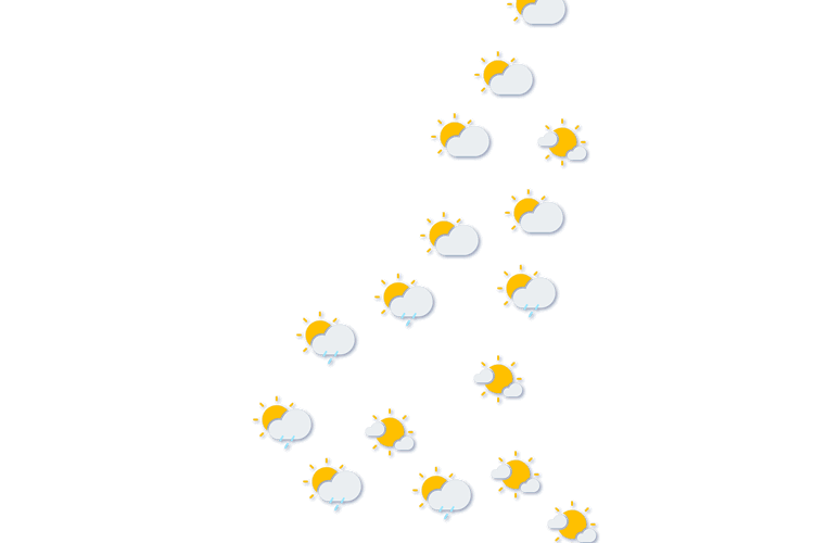 Forecast