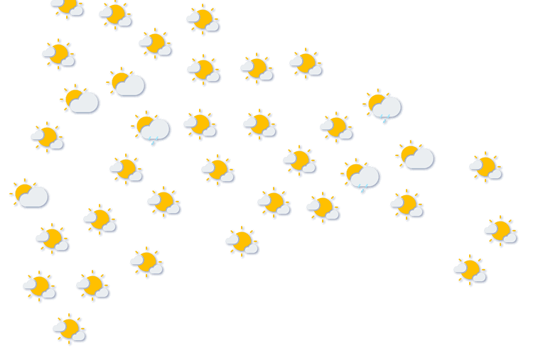 Forecast