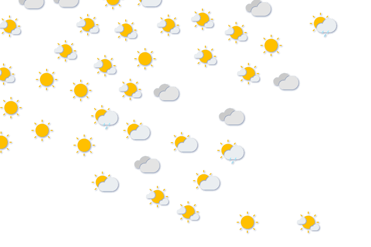 Forecast