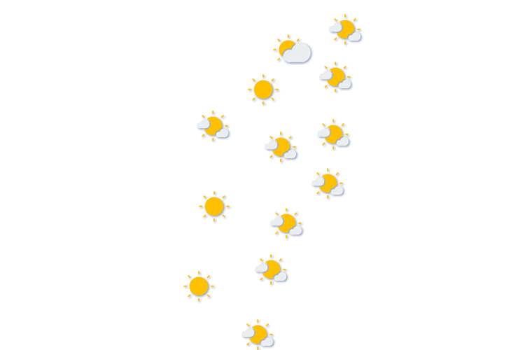 Forecast
