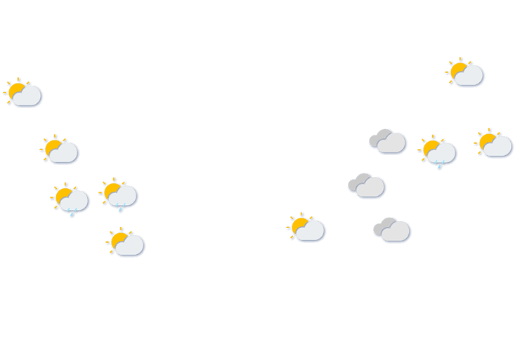 Forecast