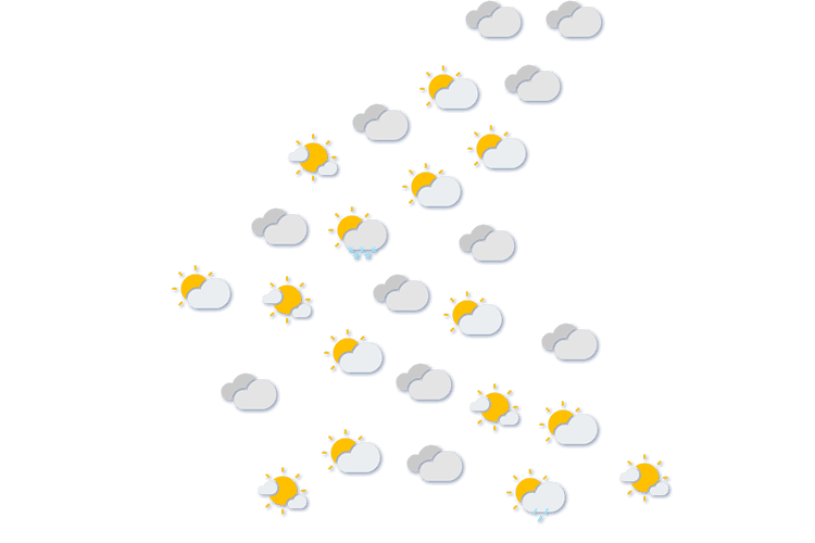 Forecast