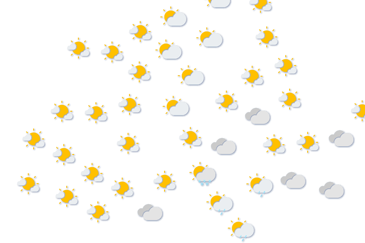 Forecast