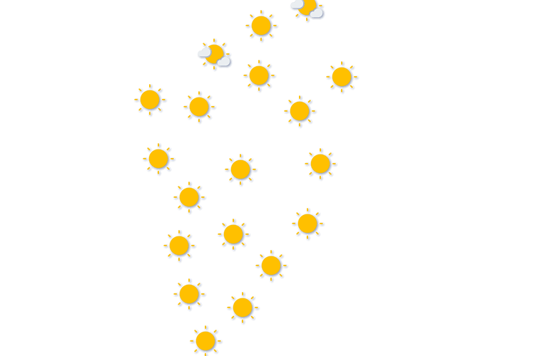 Forecast