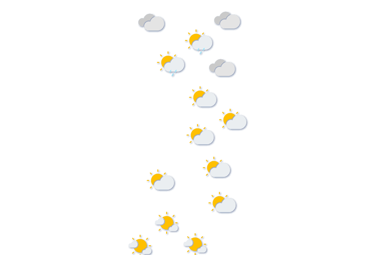 Forecast