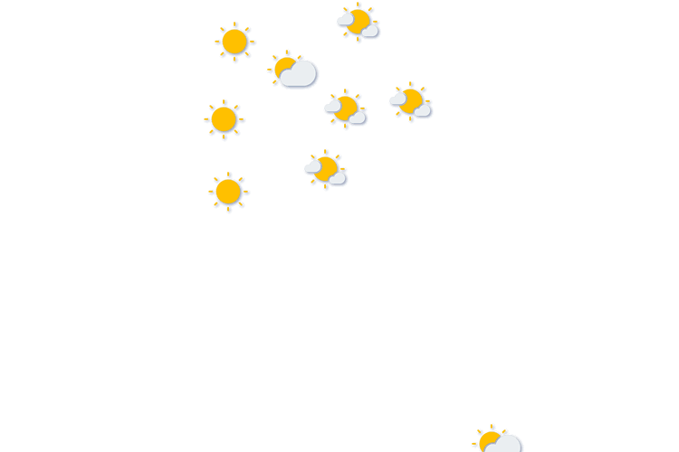 Forecast