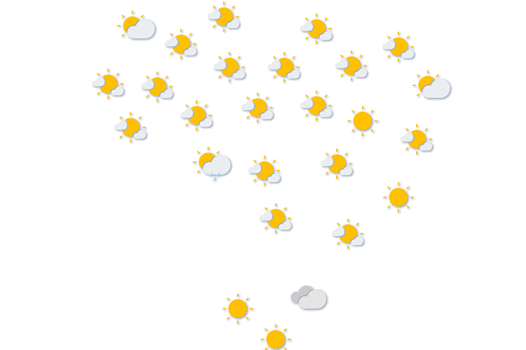Forecast