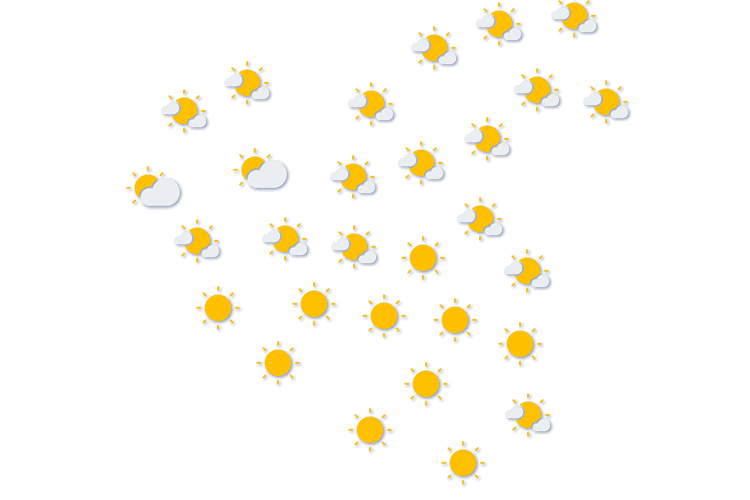 Forecast