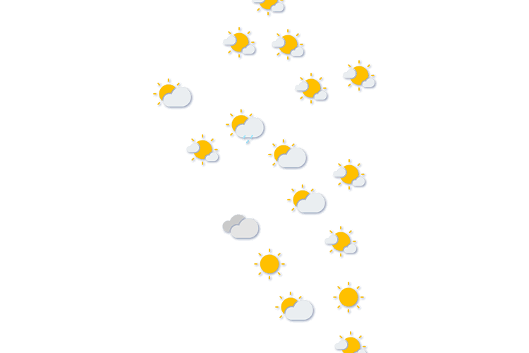 Forecast