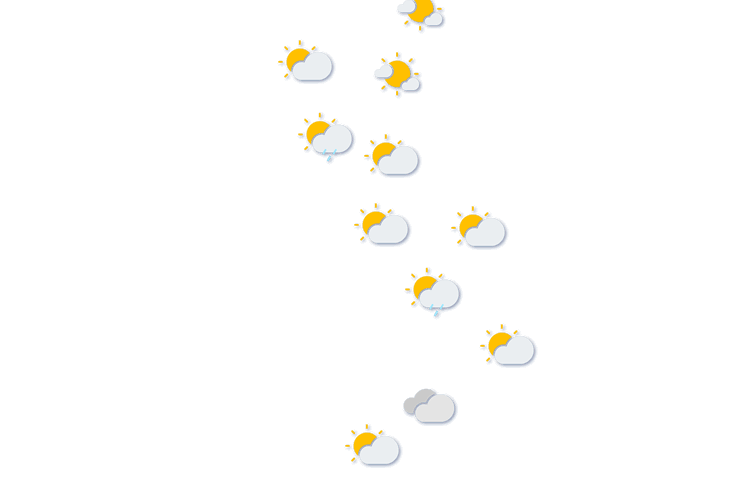 Forecast
