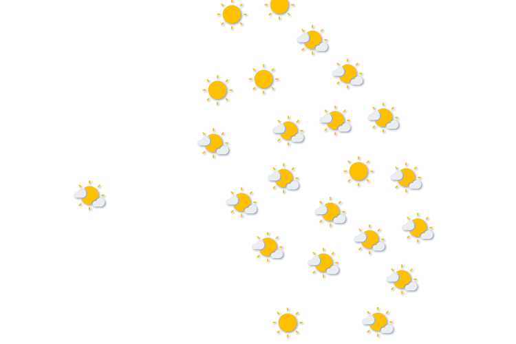 Forecast