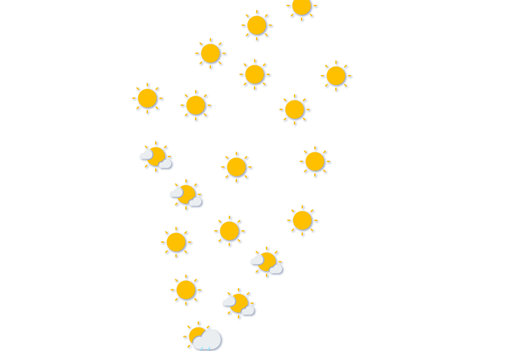 Forecast