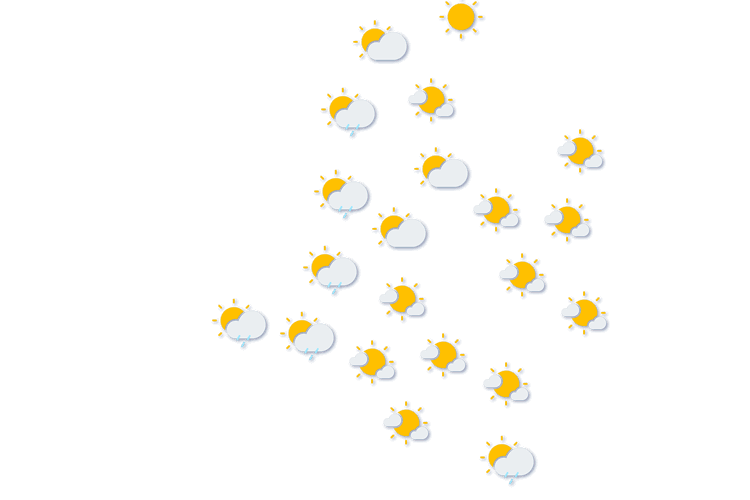 Forecast