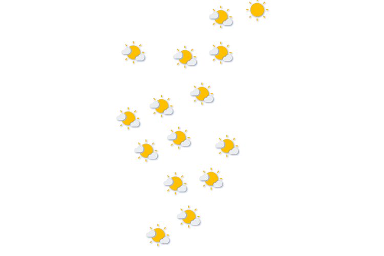 Forecast
