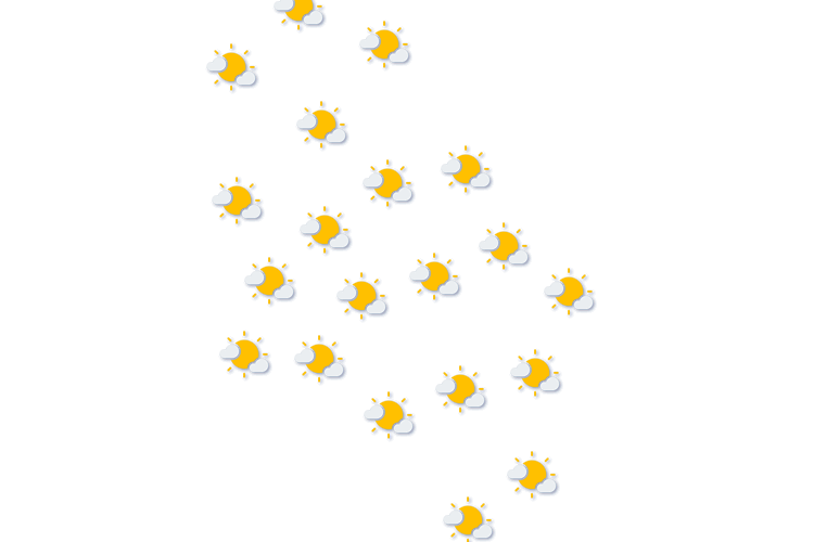 Forecast