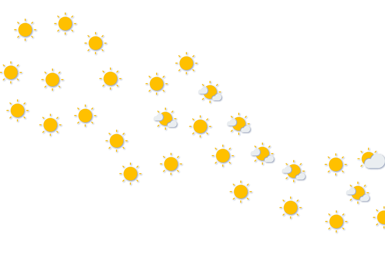 Forecast