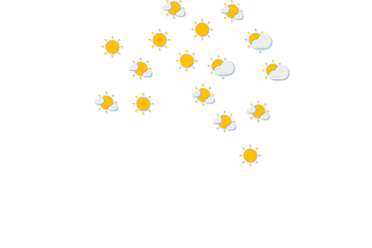 Forecast
