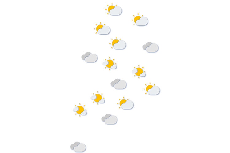 Forecast