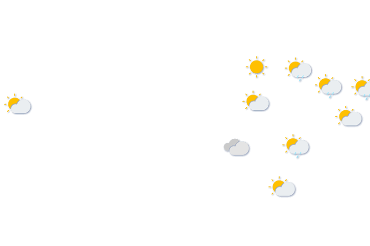 Forecast