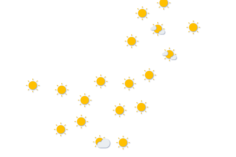 Forecast
