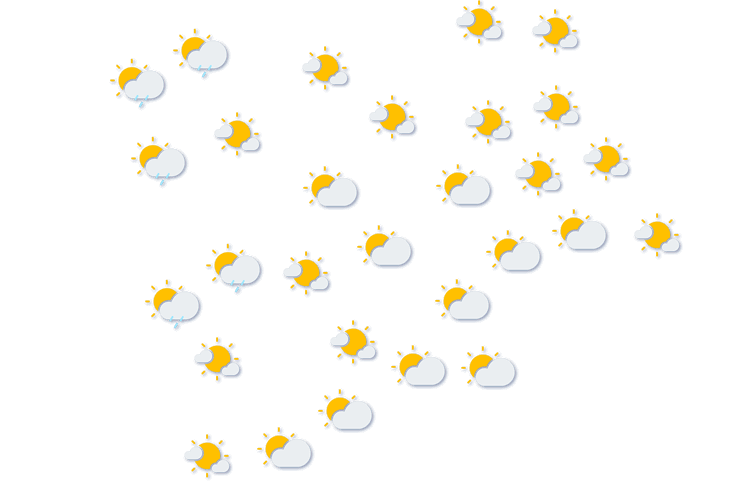 Forecast