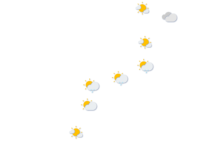 Forecast