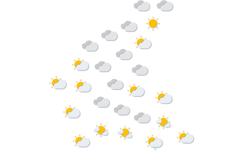 Forecast