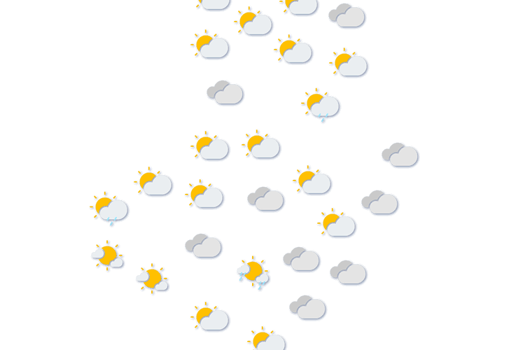 Forecast
