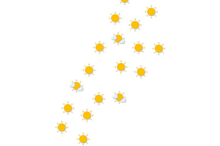 Forecast