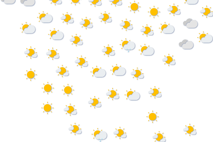 Forecast