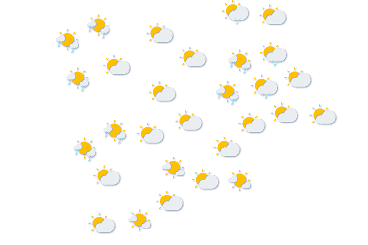 Forecast