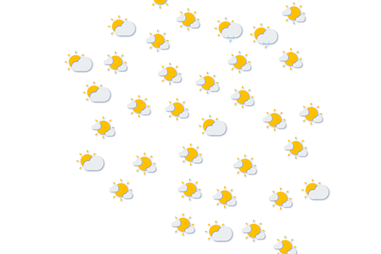 Forecast
