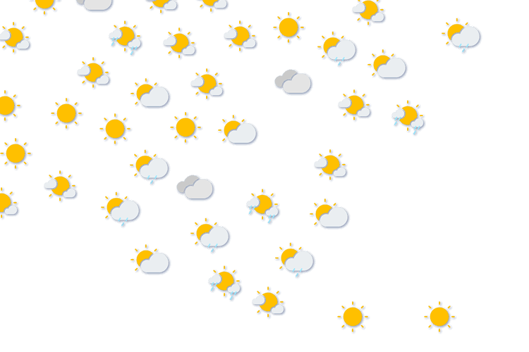 Forecast