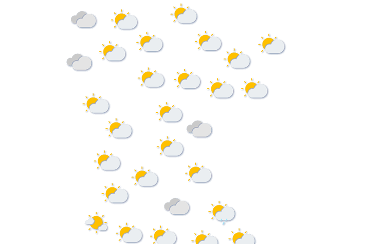 Forecast