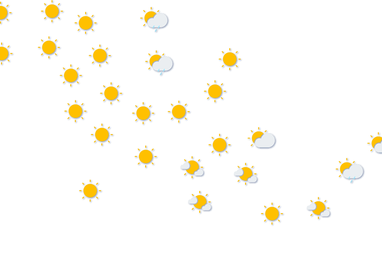 Forecast