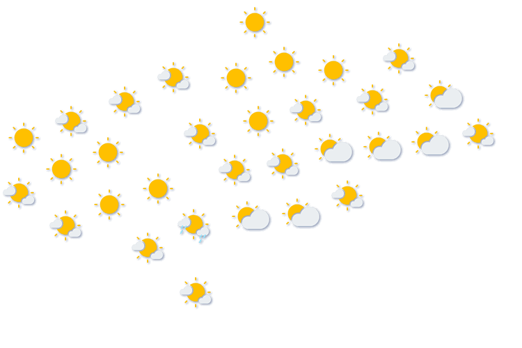 Forecast