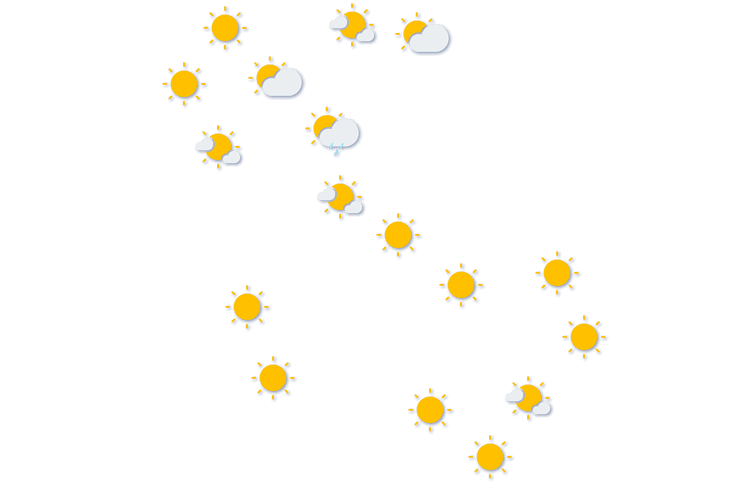 Forecast