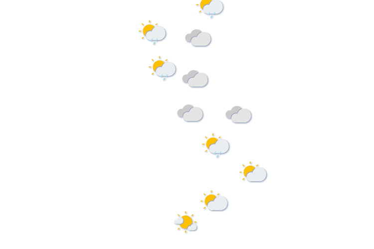Forecast