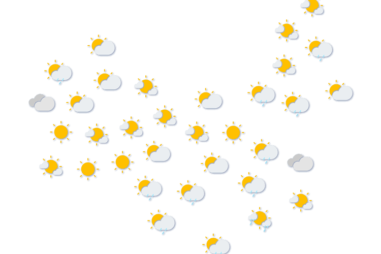Forecast
