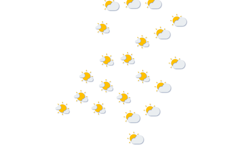 Forecast