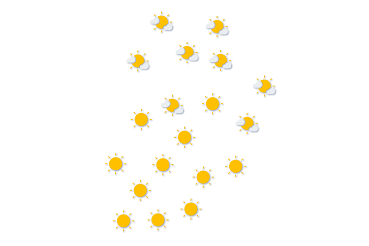 Forecast